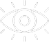 Vision